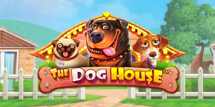 Petualangan Menarik di Dunia Energetik The Dog House