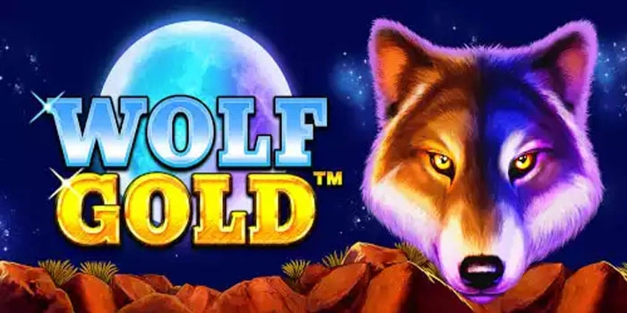 Serigala Bulan Di Hutan Gelap Wolf Gold